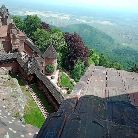 A 2 Pas D'ici Proche Colmar Апартаменты