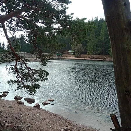 Апартаменты A 2 Pas D'ici Proche Colmar