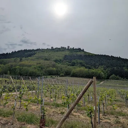 A 2 Pas D'ici Proche Colmar Apartamento *